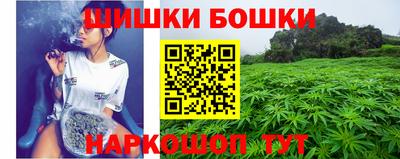гидра Будённовск