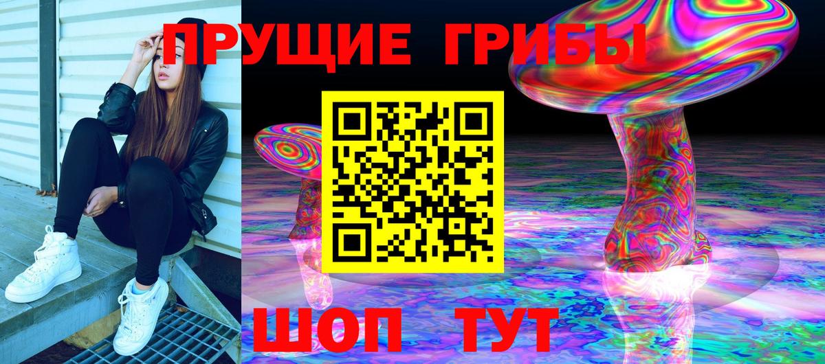 Миасс  Галлюциногенные грибы Psilocybe  Вход с VPN  хочу наркоту  Псилоцибиновые грибы прущие грибы 